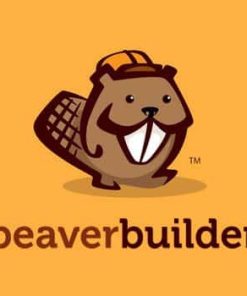 Beaver Builder Pro 2.2.3