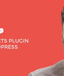 Rich Snippets WordPress Plugin 2.3.8