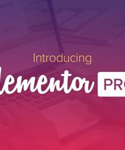 Elementor Pro 2.3.1