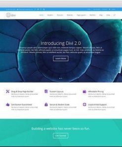Elegant Themes Divi WordPress Theme 3.19.4