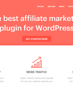 AffiliateWP – Affiliate Marketing Plugin for WordPress